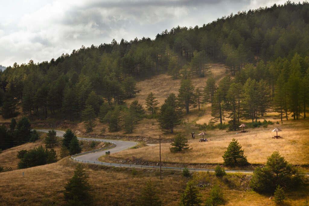 stanje na putevima zlatibor mackat kisa guzve